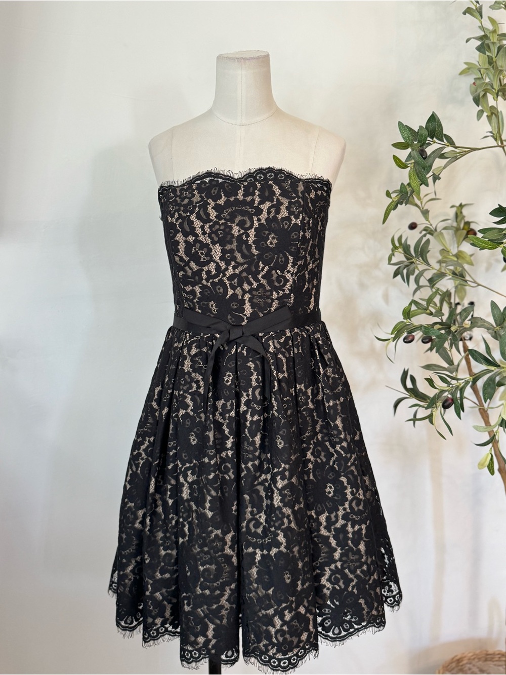 Target Neiman Marcus Robert Rodriguez Black Lace Strapless Fit & Flare Dress 6